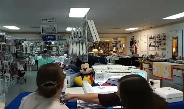 Brother Luminaire XP2: The Features That Actually Save You Time (Hoops, Scanning Frame, Projector, and the “No-Screw” Needle Plate)