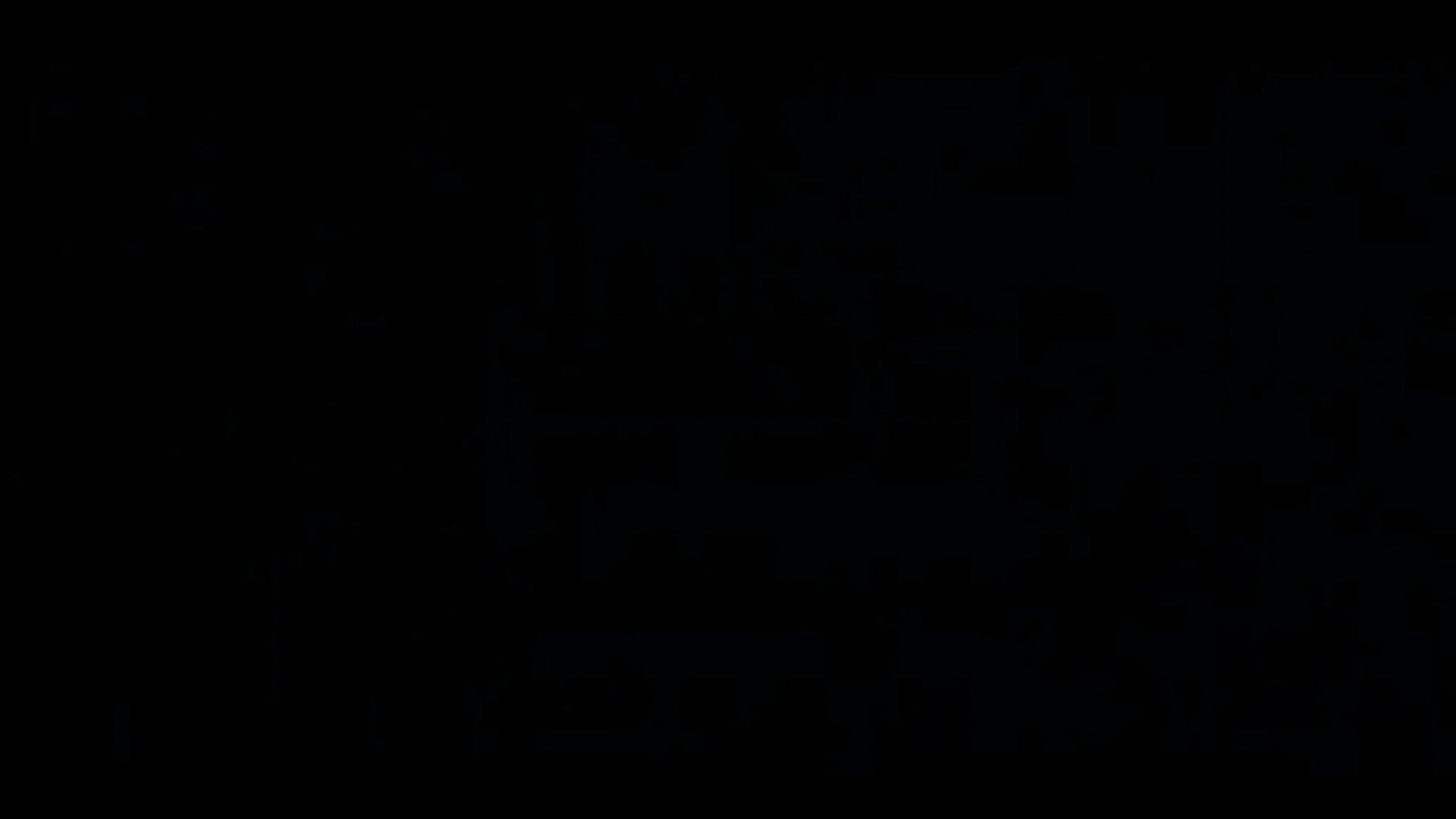 Finished machine embroidery with cutwork and appliqué.