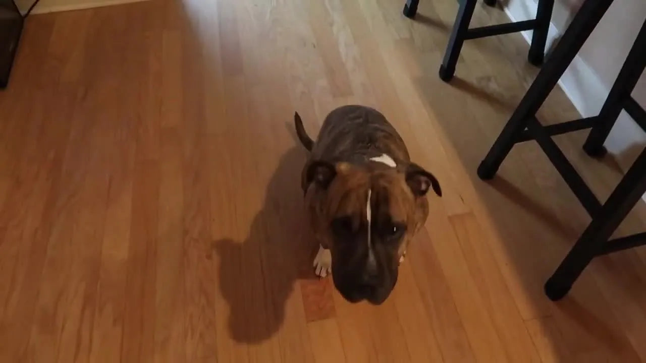 From Coffee to Craft Stores: A Practical Day-Prep for Machine Embroidery