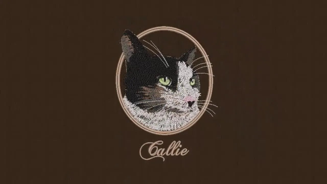 The completed cat portrait design is shown on the Wilcom EmbroideryStudio canvas with all freehand layers, radial-fill eyes, and the textured satin frame visible.